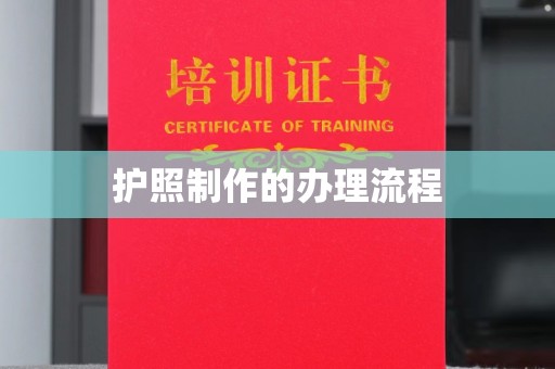 嘉陵护照制作的办理流程