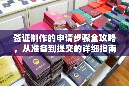 托里签证制作的申请步骤全攻略，从准备到提交的详细指南